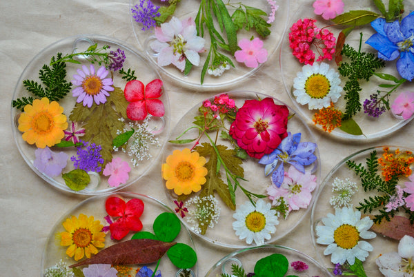 Pressed Flower Coaster Set